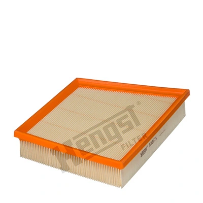 E1667L Hengst
