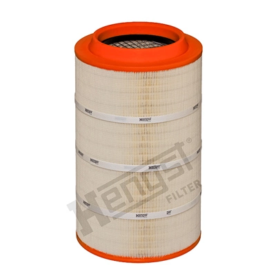 E491L Hengst
