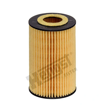 E237HD331 Hengst