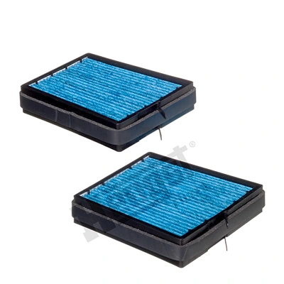 E970LB012 Hengst