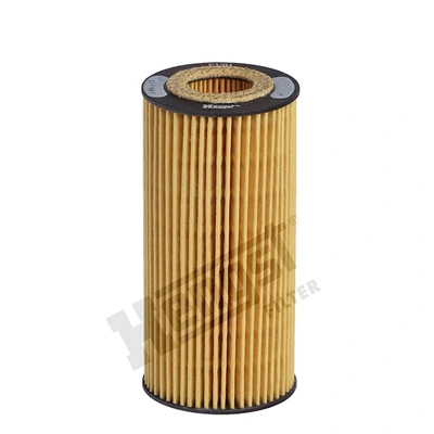 E17HD57 Hengst