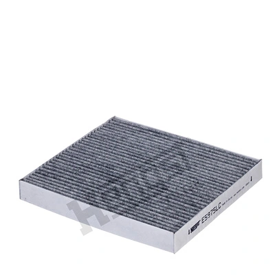 E5975LC Hengst