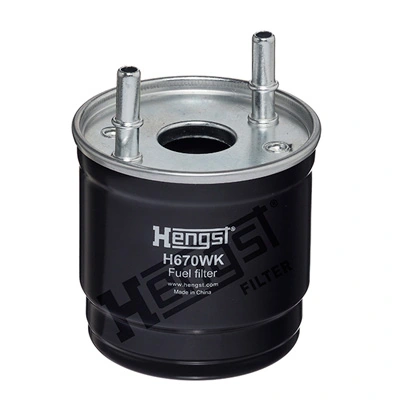 H670WKD784 Hengst