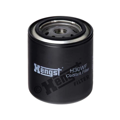 H30WF Hengst