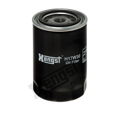 H17W30 Hengst