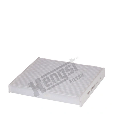 E2994LI Hengst
