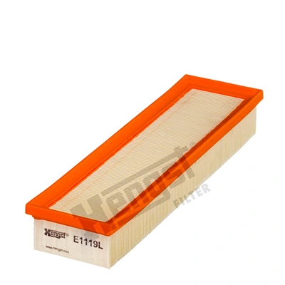 E1119L Hengst