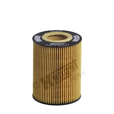 E203HD67 Hengst
