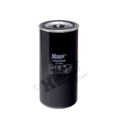 H300W02 Hengst