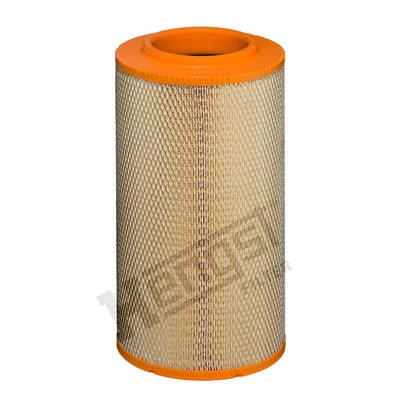 E842L Hengst