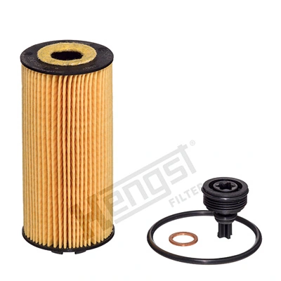 E951HD497 Hengst