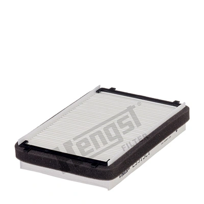E5913LI Hengst