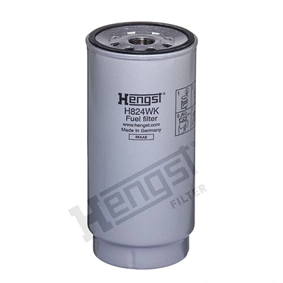 H824WKD718 Hengst
