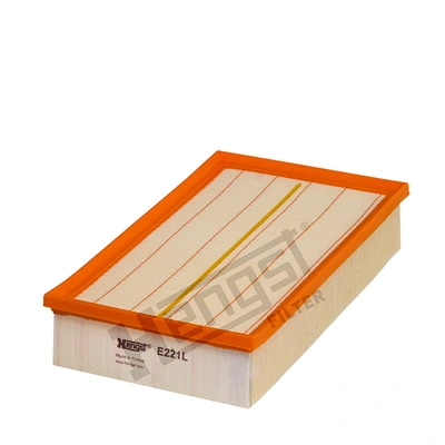 E221L Hengst
