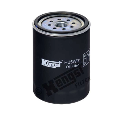 H25W01 Hengst