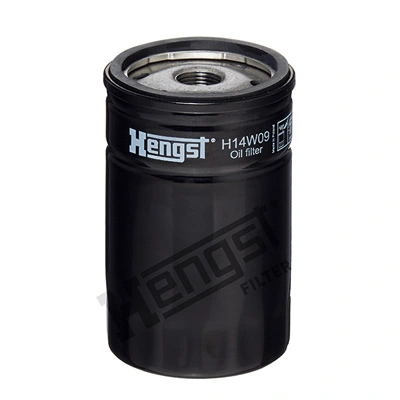 H14W09 Hengst