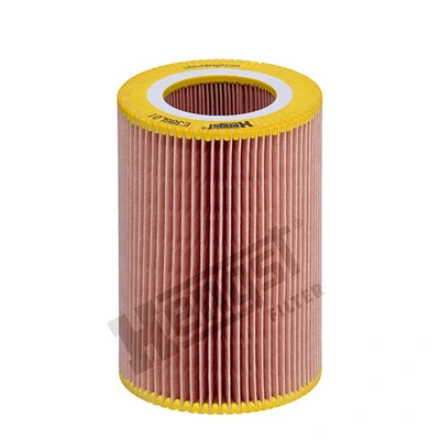 E386L01 Hengst