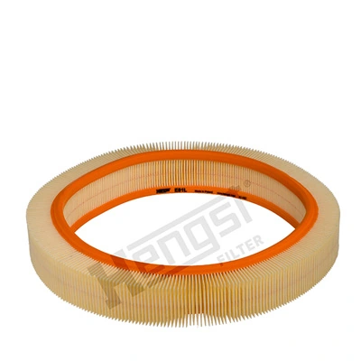 E81L Hengst