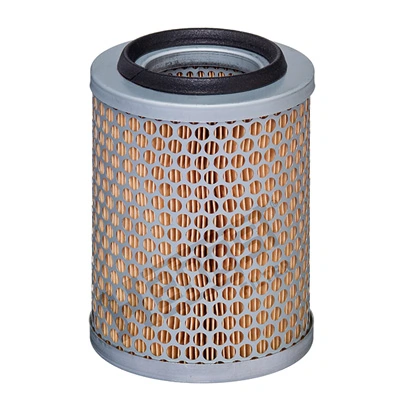 E643L Hengst