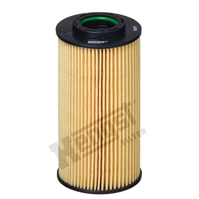 E208HD224 Hengst