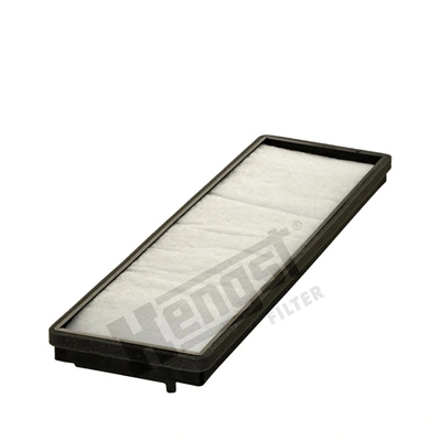 E933LI01 Hengst
