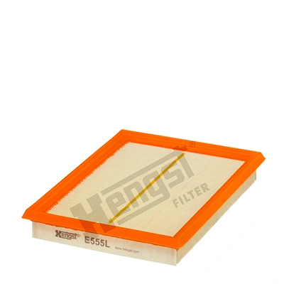 E555L Hengst