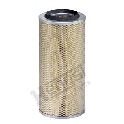 E113L Hengst