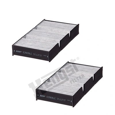E3909LC2 Hengst