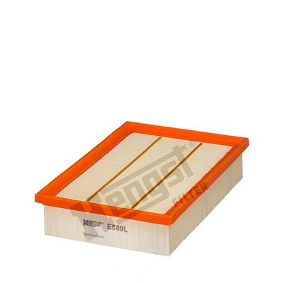 E589L Hengst
