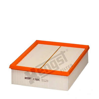 E399L Hengst