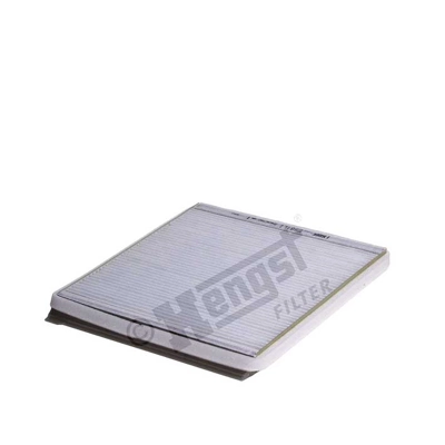 E981LI Hengst