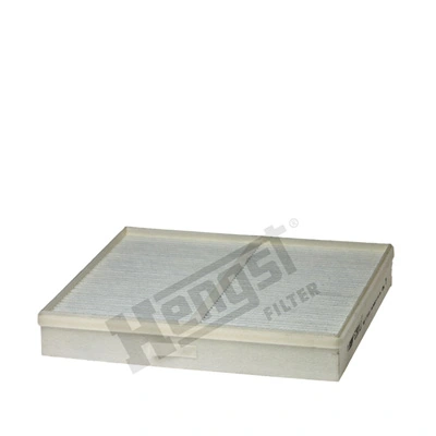 E2901LI Hengst