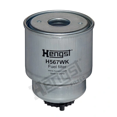 H567WK Hengst