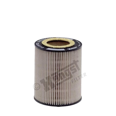 E412KP02D55 Hengst