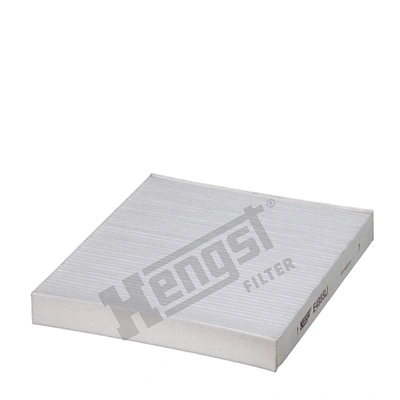 E4955LI Hengst