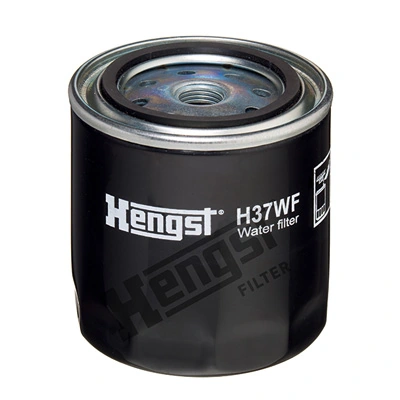 H37WF Hengst