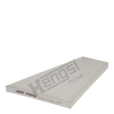 E6963LI Hengst