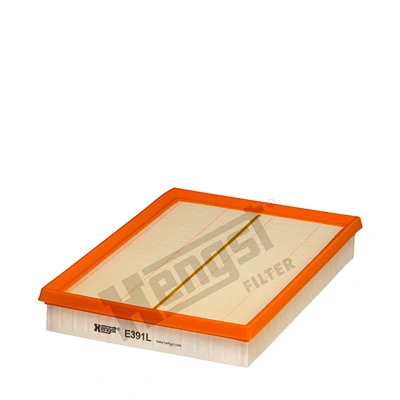 E391L Hengst