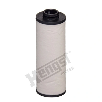 EG363HD448 Hengst