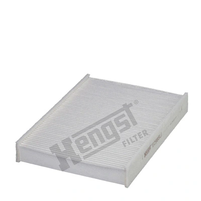 E2988LI Hengst