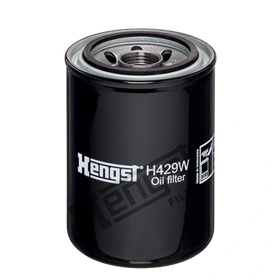 H429W Hengst