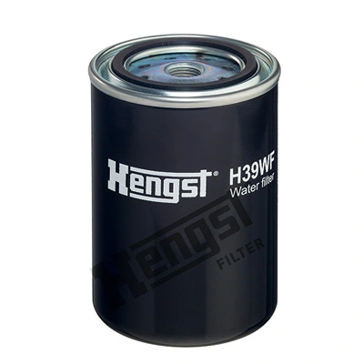 H39WF Hengst