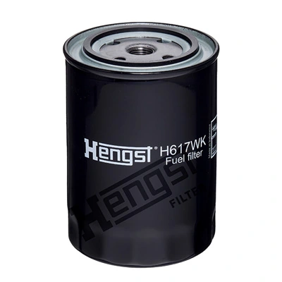 H617WKD725 Hengst