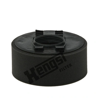 E489L01 Hengst