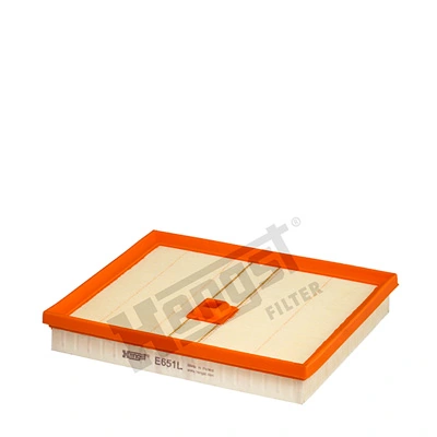 E651L Hengst