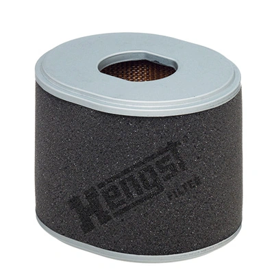 E1498L Hengst