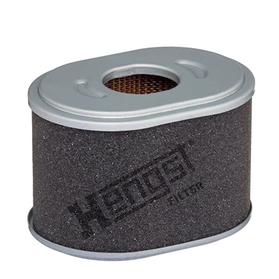 E2131L Hengst