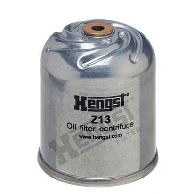Z13D94 Hengst