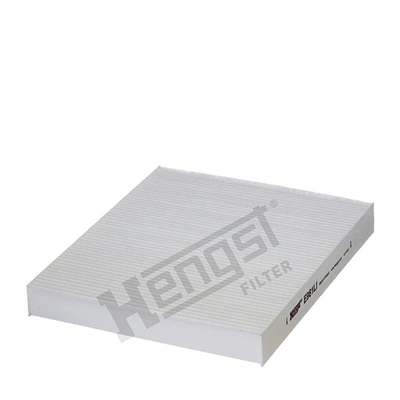 E961LI Hengst