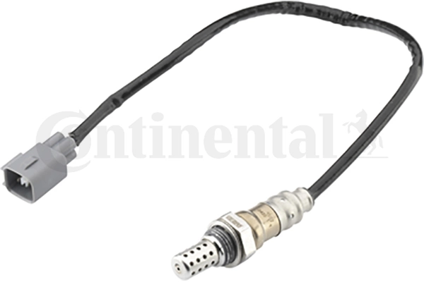 A2C59513889Z Continental/Siemens